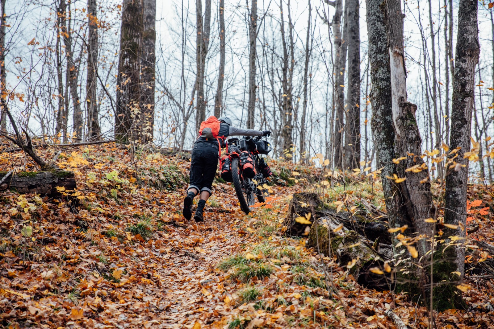 Trek 1120 bikepacking fiets